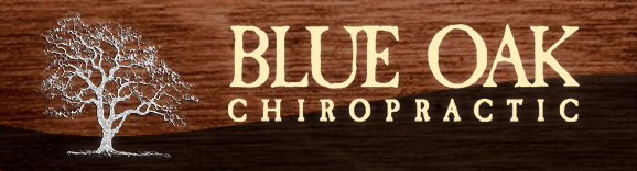 Blue Oak Chiropractic - Dr. Brad Falke